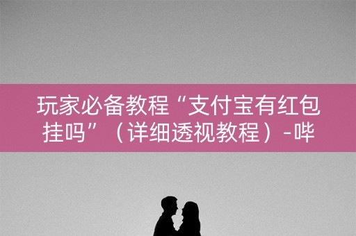 玩家必备教程“支付宝有红包挂吗”（详细透视教程）-哔哩哔哩