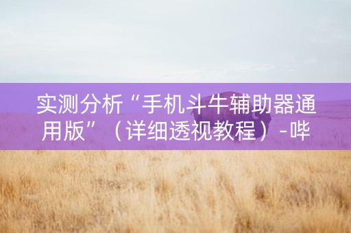 实测分析“手机斗牛辅助器通用版”（详细透视教程）-哔哩哔哩