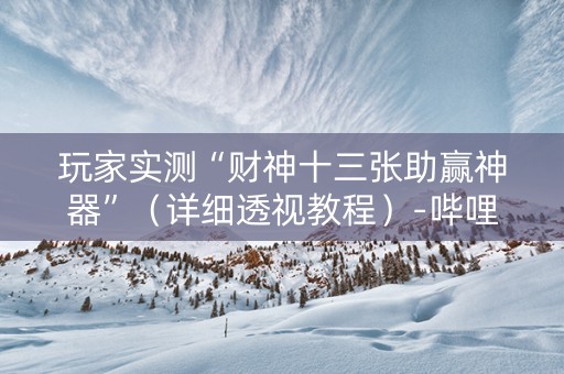 玩家实测“财神十三张助赢神器”（详细透视教程）-哔哩哔哩