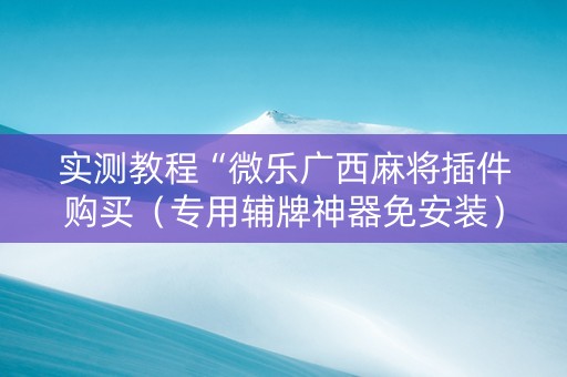 实测教程“微乐广西麻将插件购买（专用辅牌神器免安装）
