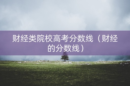 财经类院校高考分数线（财经的分数线）