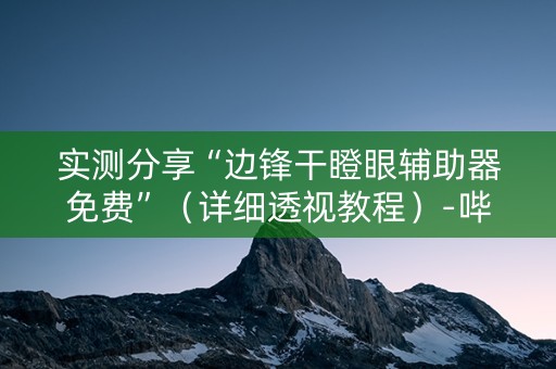 实测分享“边锋干瞪眼辅助器免费”（详细透视教程）-哔哩哔哩