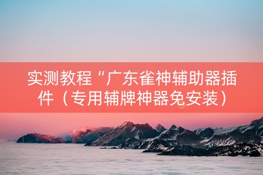 实测教程“广东雀神辅助器插件（专用辅牌神器免安装）