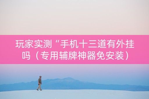 玩家实测“手机十三道有外挂吗（专用辅牌神器免安装）