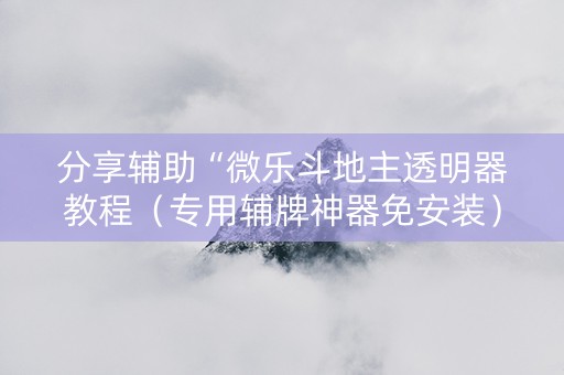 分享辅助“微乐斗地主透明器教程（专用辅牌神器免安装）