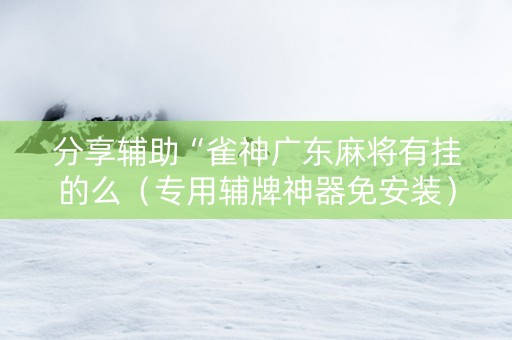 分享辅助“雀神广东麻将有挂的么（专用辅牌神器免安装）