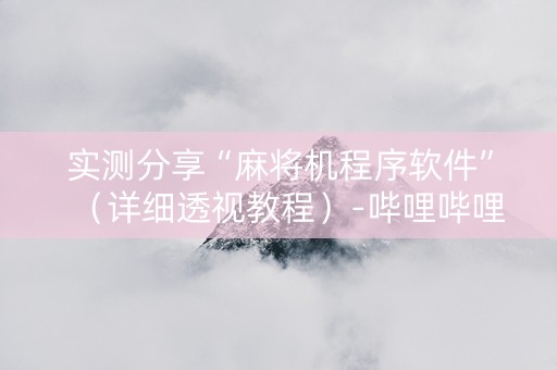 实测分享“麻将机程序软件”（详细透视教程）-哔哩哔哩
