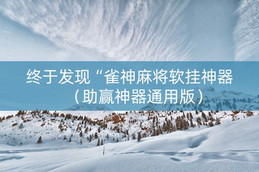 终于发现“雀神麻将软挂神器（助赢神器通用版）
