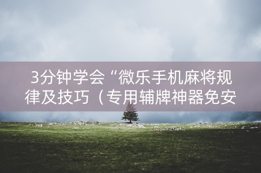 3分钟学会“微乐手机麻将规律及技巧（专用辅牌神器免安装）