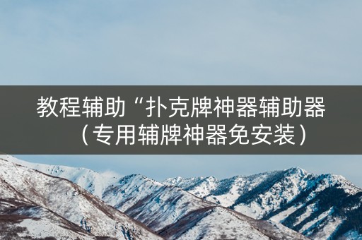 教程辅助“扑克牌神器辅助器（专用辅牌神器免安装）