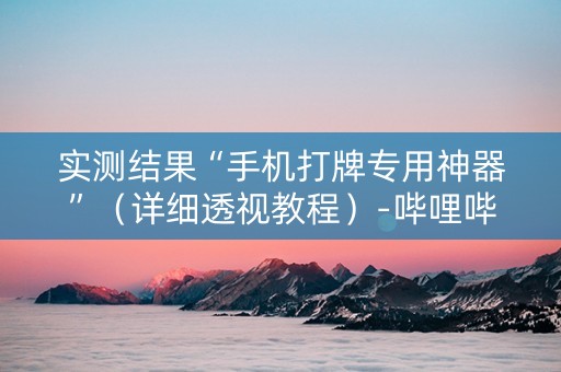 实测结果“手机打牌专用神器”（详细透视教程）-哔哩哔哩