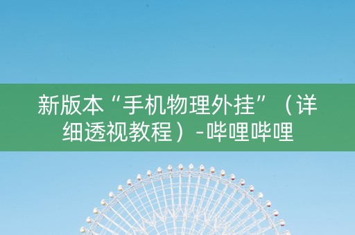 新版本“手机物理外挂”（详细透视教程）-哔哩哔哩