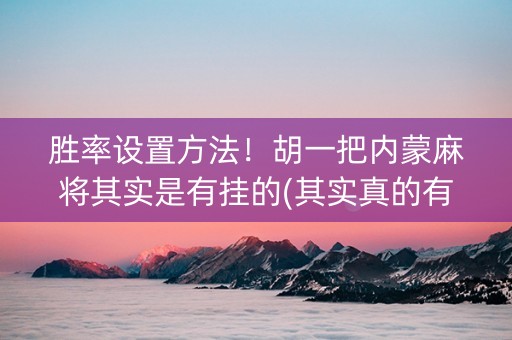 胜率设置方法！胡一把内蒙麻将其实是有挂的(其实真的有挂)