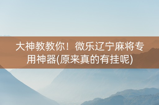大神教教你！微乐辽宁麻将专用神器(原来真的有挂呢)