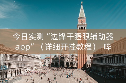 今日实测“边锋干瞪眼辅助器app”（详细开挂教程）-哔哩哔哩