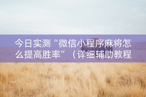 今日实测“微信小程序麻将怎么提高胜率”（详细辅助教程）-哔哩哔哩