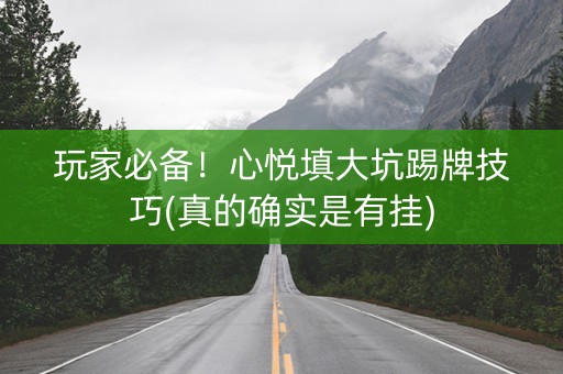 玩家必备！心悦填大坑踢牌技巧(真的确实是有挂)