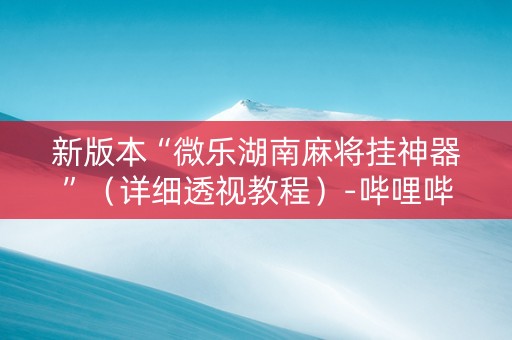 新版本“微乐湖南麻将挂神器”（详细透视教程）-哔哩哔哩