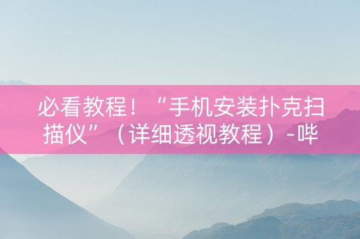必看教程！“手机安装扑克扫描仪”（详细透视教程）-哔哩哔哩