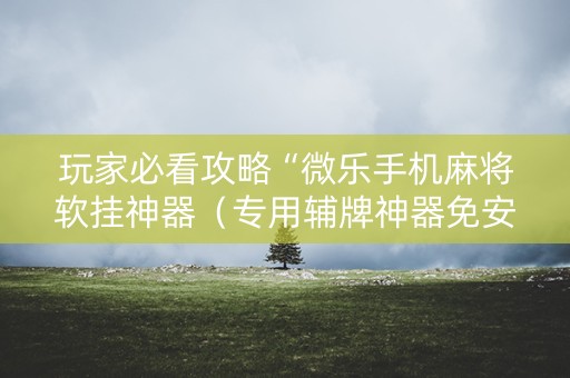 玩家必看攻略“微乐手机麻将软挂神器（专用辅牌神器免安装）