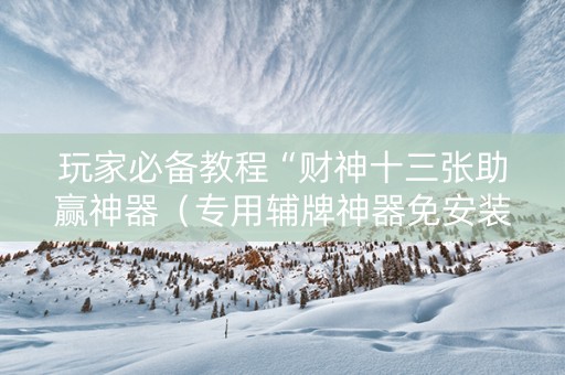 玩家必备教程“财神十三张助赢神器（专用辅牌神器免安装）