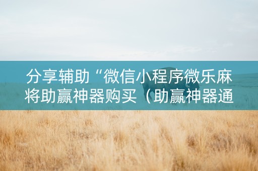 分享辅助“微信小程序微乐麻将助赢神器购买（助赢神器通用版）