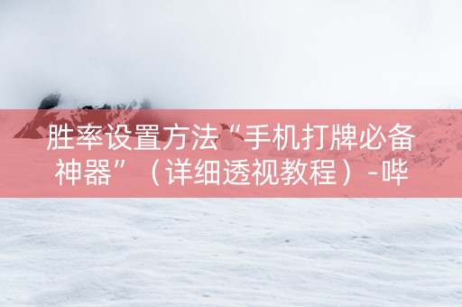 胜率设置方法“手机打牌必备神器”（详细透视教程）-哔哩哔哩