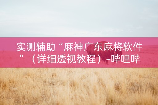 实测辅助“麻神广东麻将软件”（详细透视教程）-哔哩哔哩