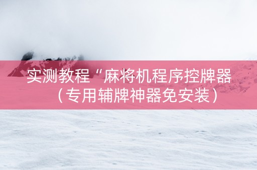 实测教程“麻将机程序控牌器（专用辅牌神器免安装）