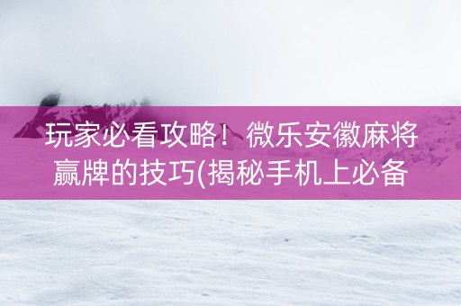 玩家必看攻略！微乐安徽麻将赢牌的技巧(揭秘手机上必备神器)