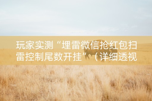 玩家实测“埋雷微信抢红包扫雷控制尾数开挂”（详细透视教程）-哔哩哔哩