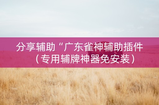 分享辅助“广东雀神辅助插件（专用辅牌神器免安装）