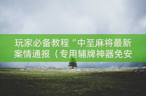 玩家必备教程“中至麻将最新案情通报（专用辅牌神器免安装）