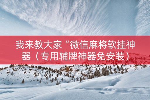 我来教大家“微信麻将软挂神器（专用辅牌神器免安装）
