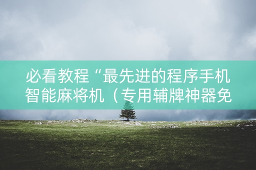 必看教程“最先进的程序手机智能麻将机（专用辅牌神器免安装）