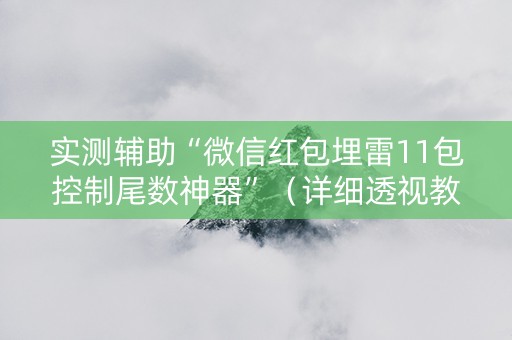 实测辅助“微信红包埋雷11包控制尾数神器”（详细透视教程）-哔哩哔哩