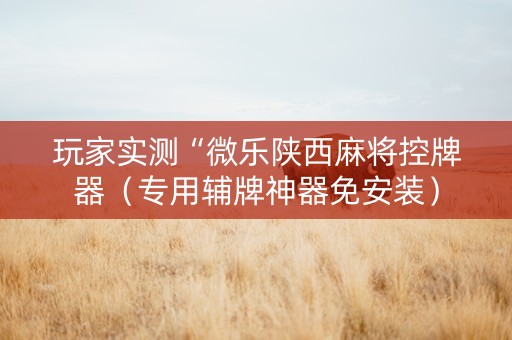 玩家实测“微乐陕西麻将控牌器（专用辅牌神器免安装）