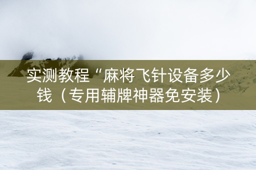 实测教程“麻将飞针设备多少钱（专用辅牌神器免安装）