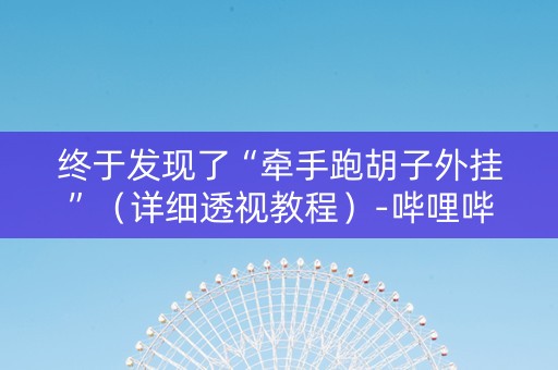 终于发现了“牵手跑胡子外挂”（详细透视教程）-哔哩哔哩
