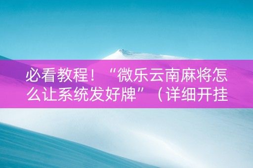 必看教程！“微乐云南麻将怎么让系统发好牌”（详细开挂教程）-哔哩哔哩