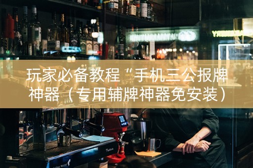 玩家必备教程“手机三公报牌神器（专用辅牌神器免安装）