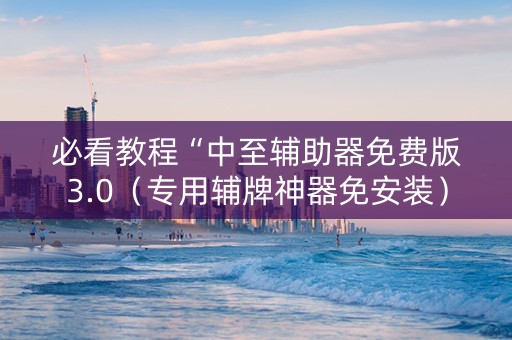 必看教程“中至辅助器免费版3.0（专用辅牌神器免安装）