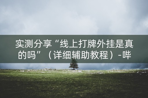 实测分享“线上打牌外挂是真的吗”（详细辅助教程）-哔哩哔哩