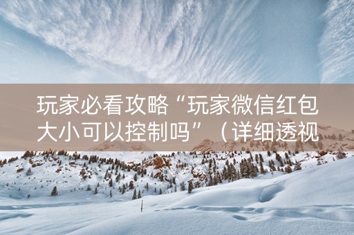 玩家必看攻略“玩家微信红包大小可以控制吗”（详细透视教程）-哔哩哔哩