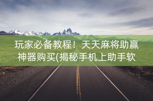 玩家必备教程！天天麻将助赢神器购买(揭秘手机上助手软件)