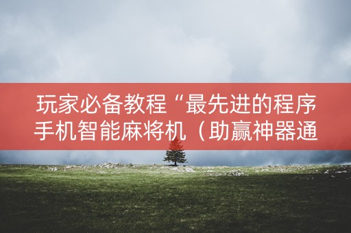 玩家必备教程“最先进的程序手机智能麻将机（助赢神器通用版）