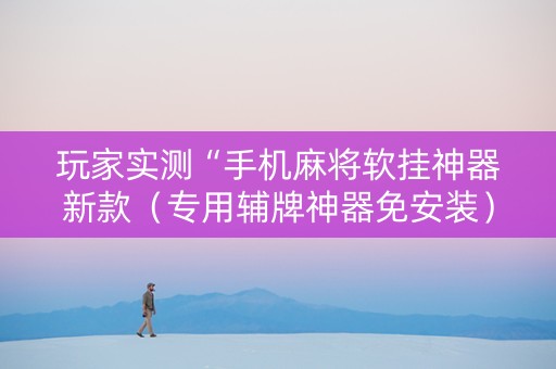 玩家实测“手机麻将软挂神器新款（专用辅牌神器免安装）