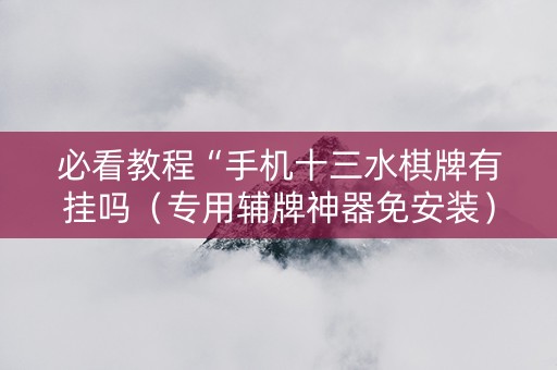必看教程“手机十三水棋牌有挂吗（专用辅牌神器免安装）