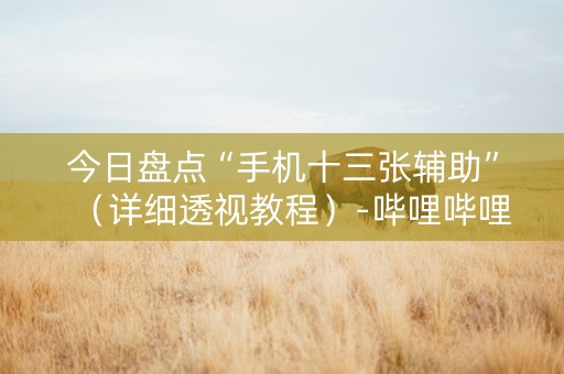 今日盘点“手机十三张辅助”（详细透视教程）-哔哩哔哩