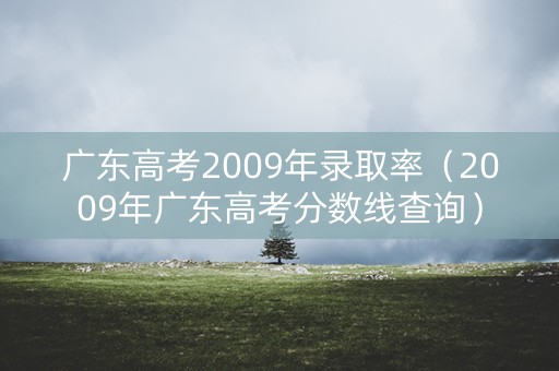 广东高考2009年录取率（2009年广东高考分数线查询）